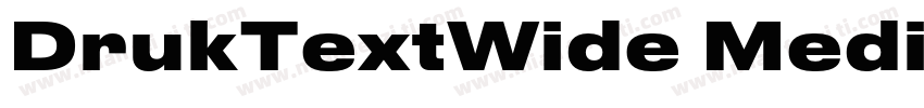 DrukTextWide Medium字体转换